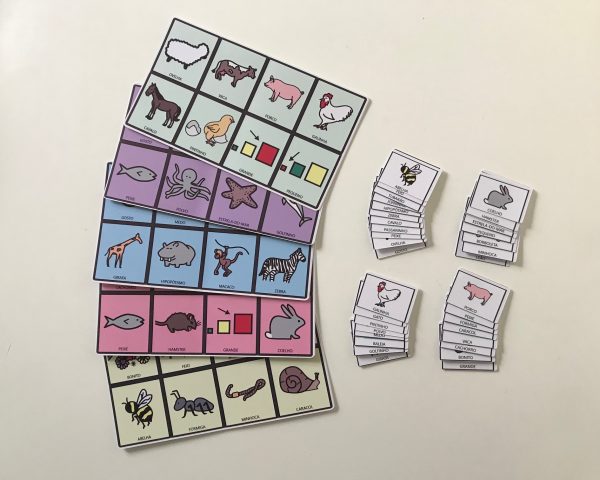 Bingo - Animais